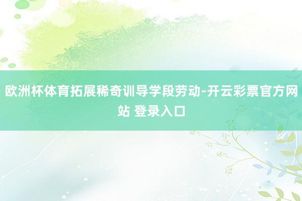 欧洲杯体育拓展稀奇训导学段劳动-开云彩票官方网站 登录入口