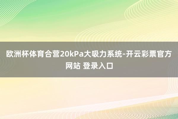 欧洲杯体育合营20kPa大吸力系统-开云彩票官方网站 登录入口