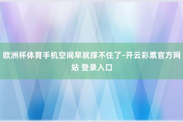 欧洲杯体育手机空间早就撑不住了-开云彩票官方网站 登录入口