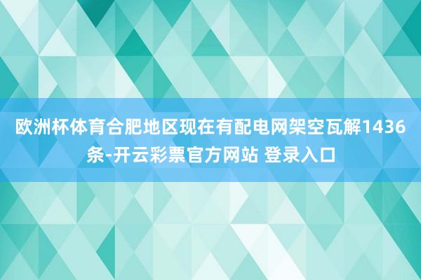 欧洲杯体育合肥地区现在有配电网架空瓦解1436条-开云彩票官方网站 登录入口